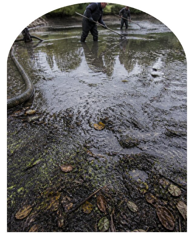 Очистка пруда в Качканаре от ила мусора и водорослей с вывозом